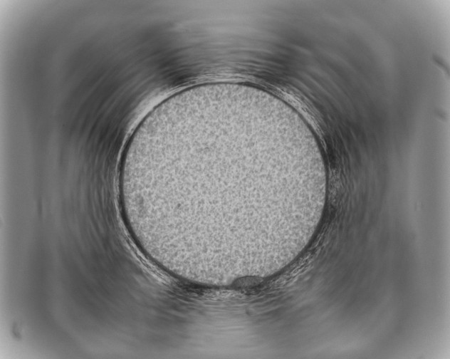 X0000097861187200804111145