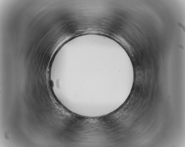 X0000097861190200804111145