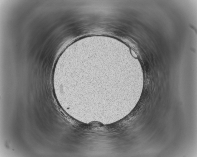 X0000097861191200804111145