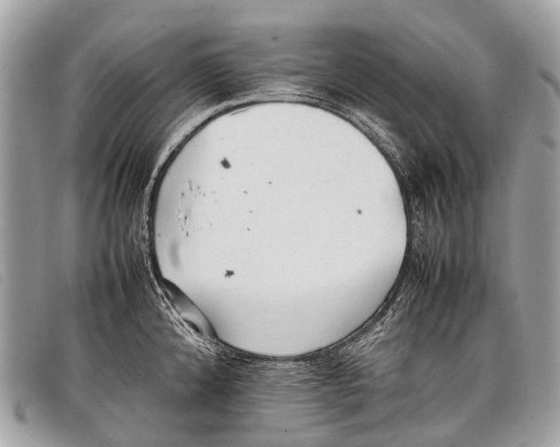 X0000097861192200804111145