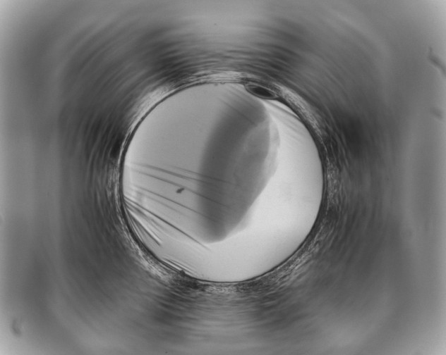 X0000097861194200804111145