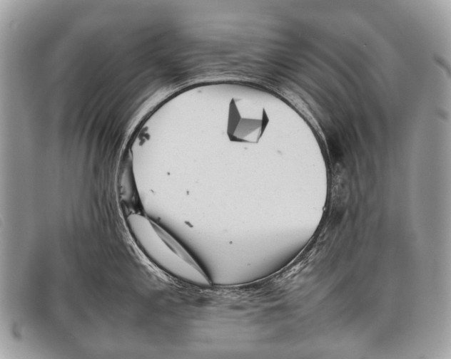 X0000097861197200804111145