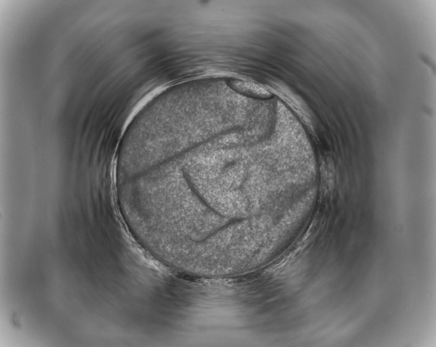 X0000097861198200804111145