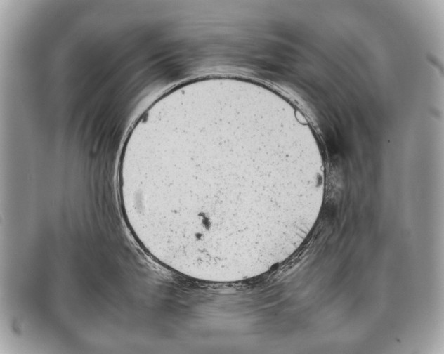 X0000097861199200804111145