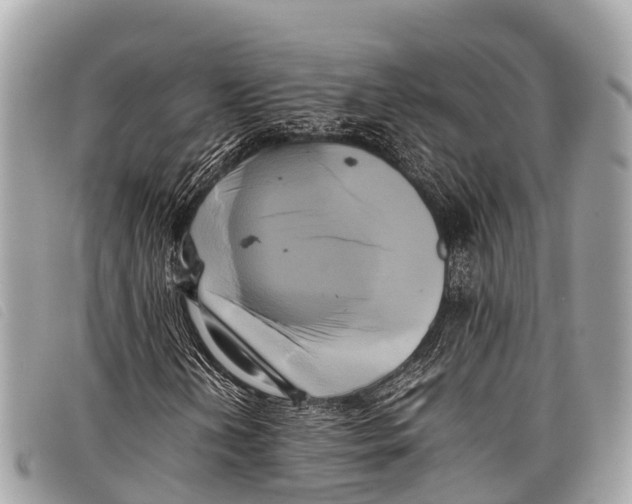 X0000097861202200804111144