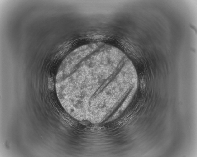 X0000097861204200804111144