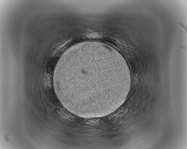 X0000097861205200804111144