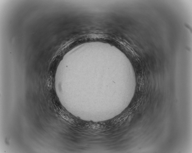 X0000097861207200804111144