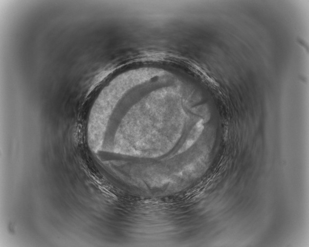 X0000097861208200804111144