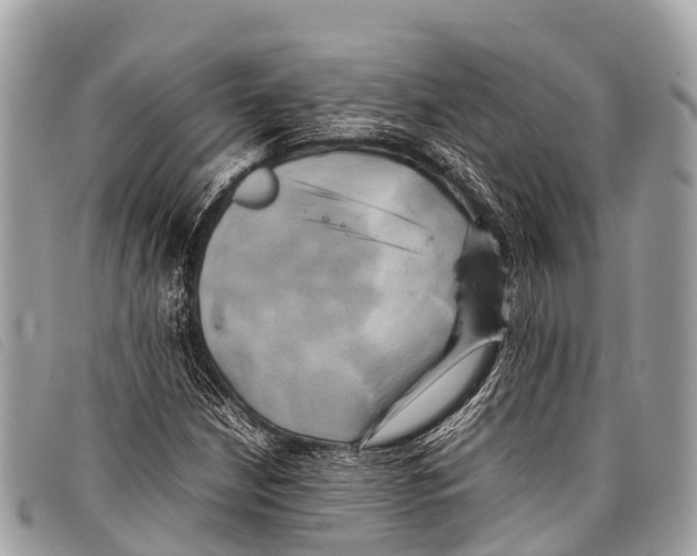 X0000097861210200804111144