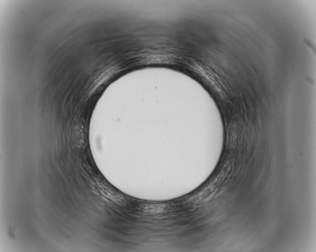 X0000097861211200804111144