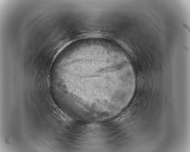 X0000097861212200804111144