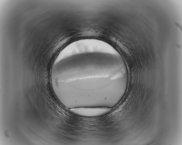 X0000097861213200804111144