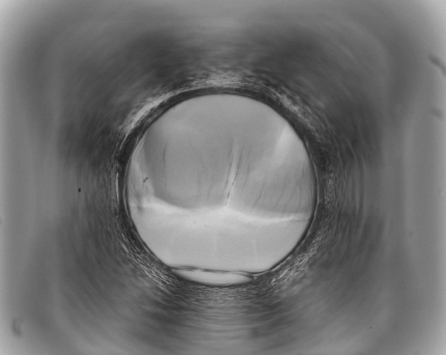 X0000097861214200804111144