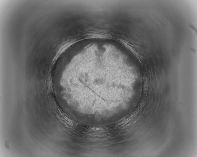 X0000097861215200804111144