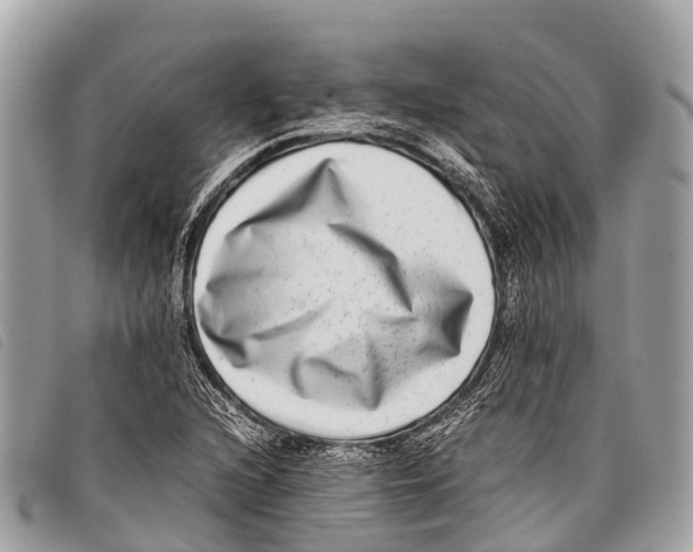 X0000097861216200804111144