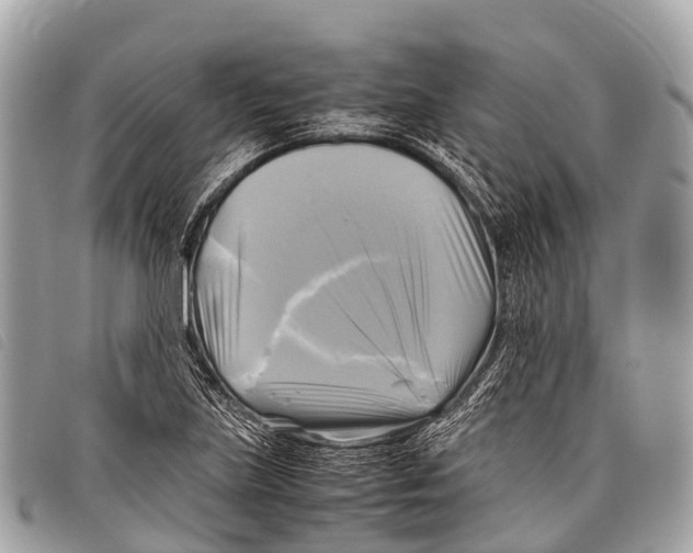 X0000097861219200804111144