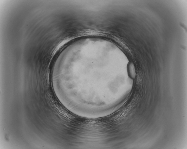 X0000097861222200804111144