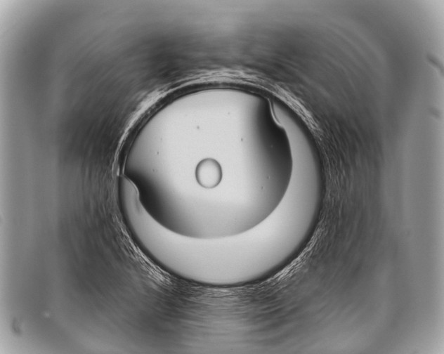 X0000097861224200804111144