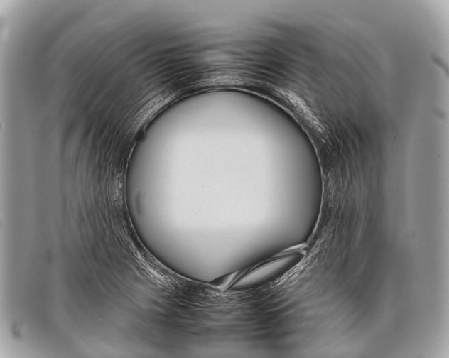 X0000097861225200804111144