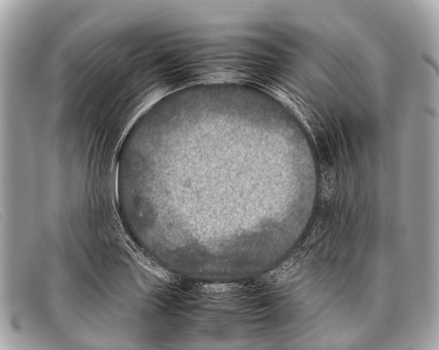 X0000097861227200804111144