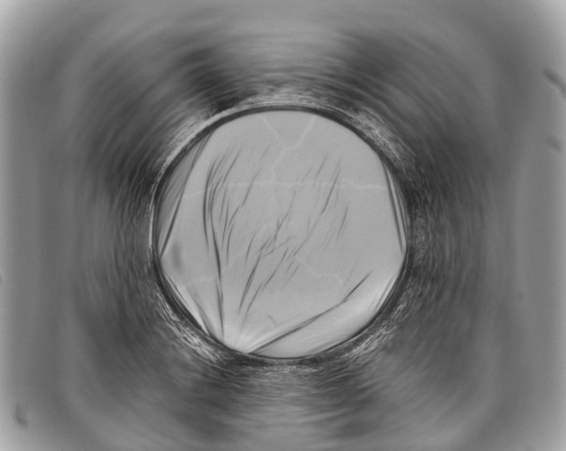 X0000097861228200804111145