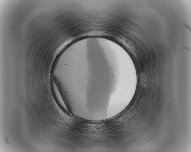 X0000097861229200804111145