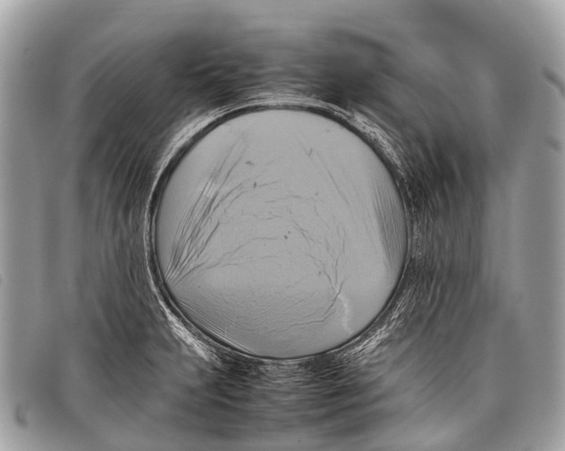 X0000097861231200804111145