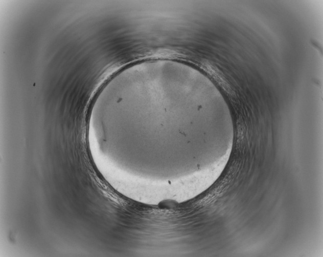 X0000097861232200804111145