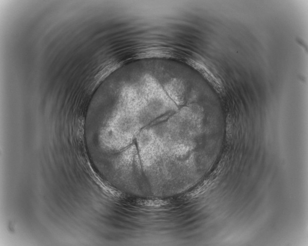 X0000097861233200804111145