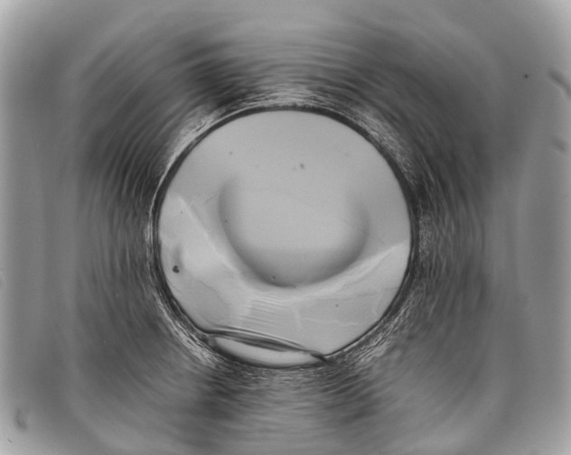 X0000097861234200804111145