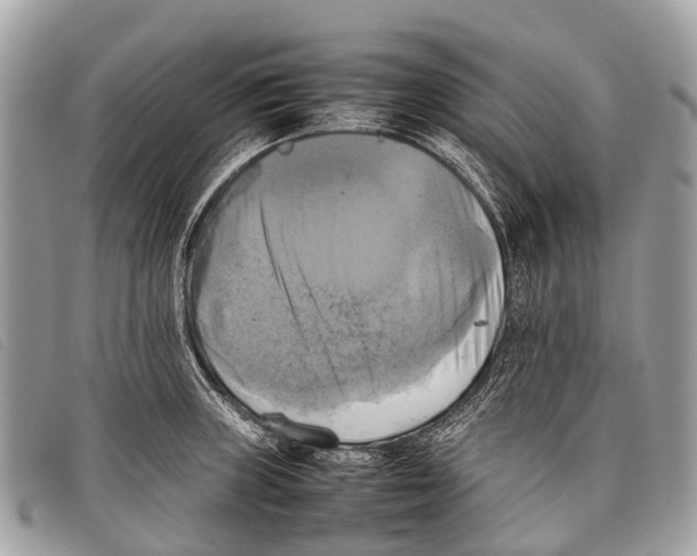 X0000097861235200804111145