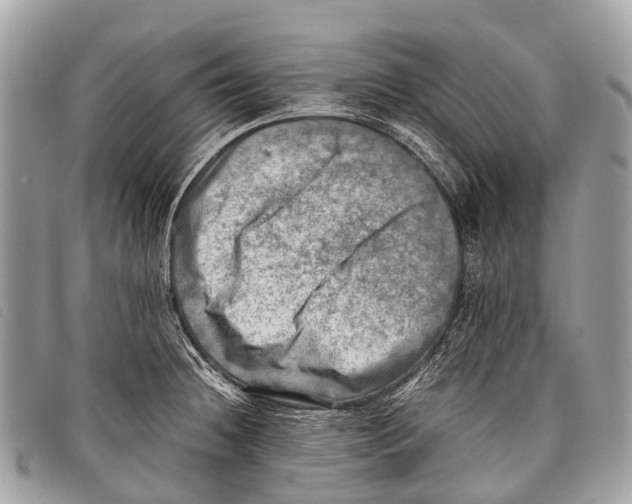 X0000097861236200804111145