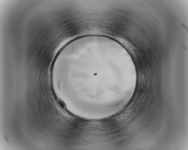 X0000097861238200804111145