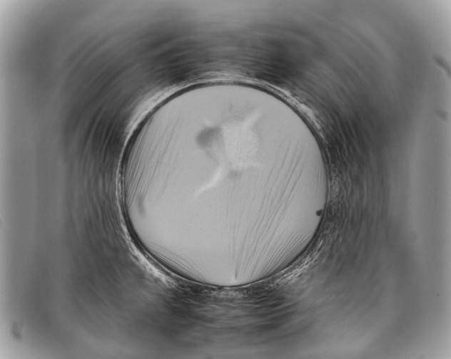 X0000097861239200804111145