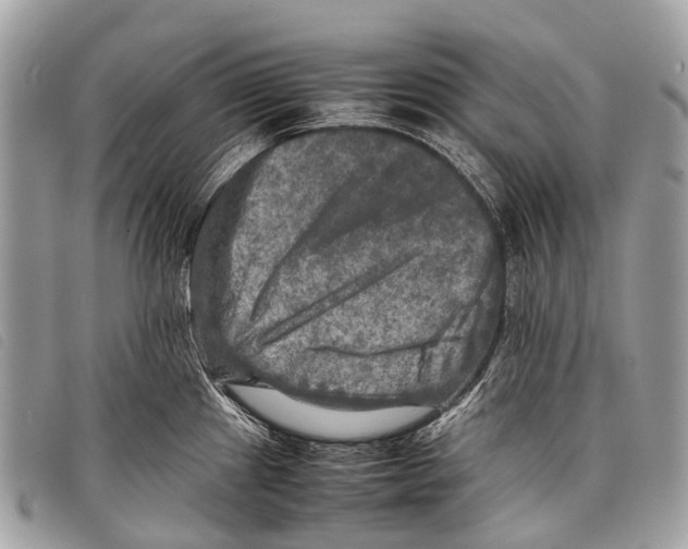 X0000097861241200804111145