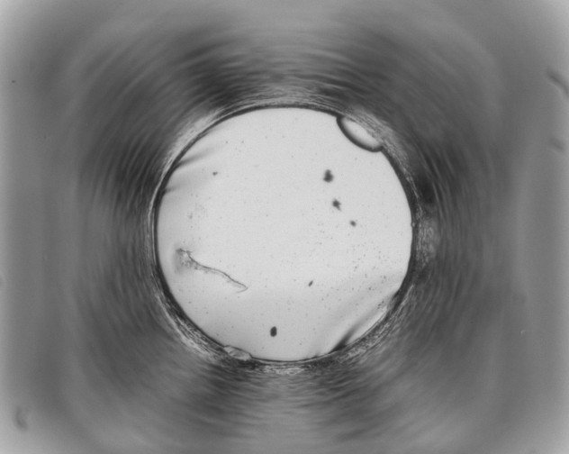 X0000097861242200804111145