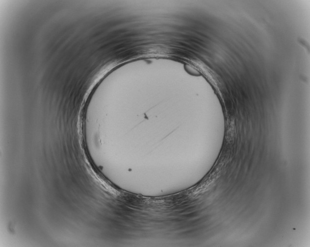 X0000097861243200804111145