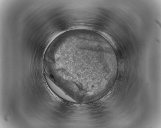 X0000097861244200804111145