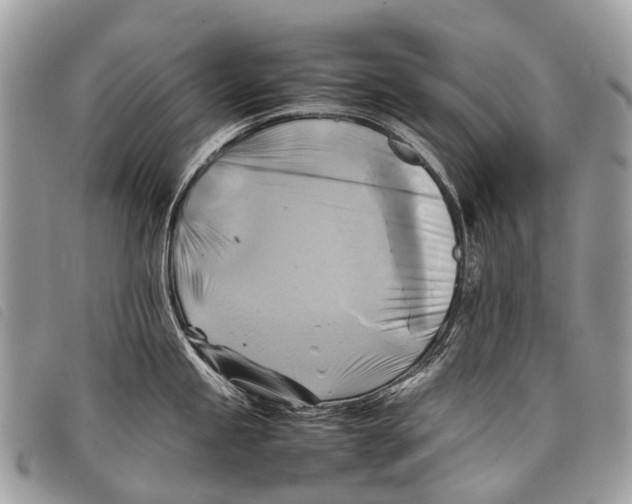 X0000097861245200804111145