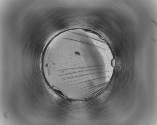 X0000097861246200804111145