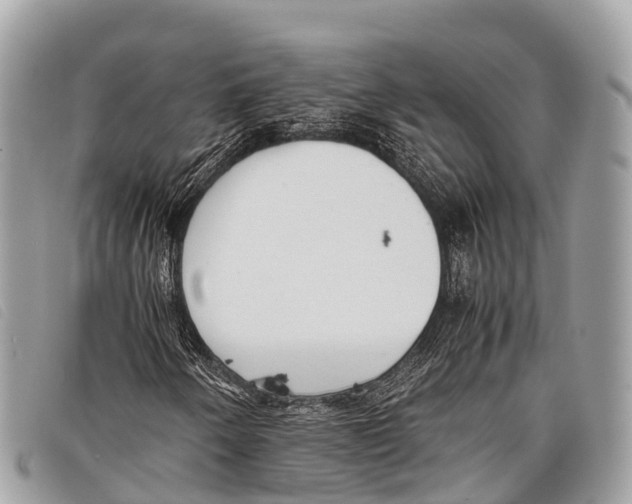 X0000097861250200804111144