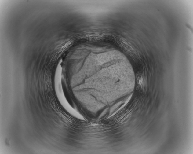 X0000097861252200804111144