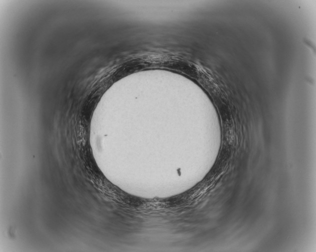 X0000097861253200804111144