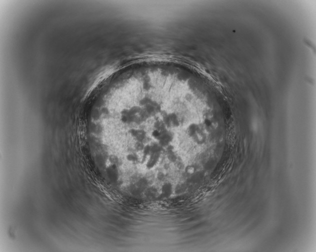 X0000097861255200804111144