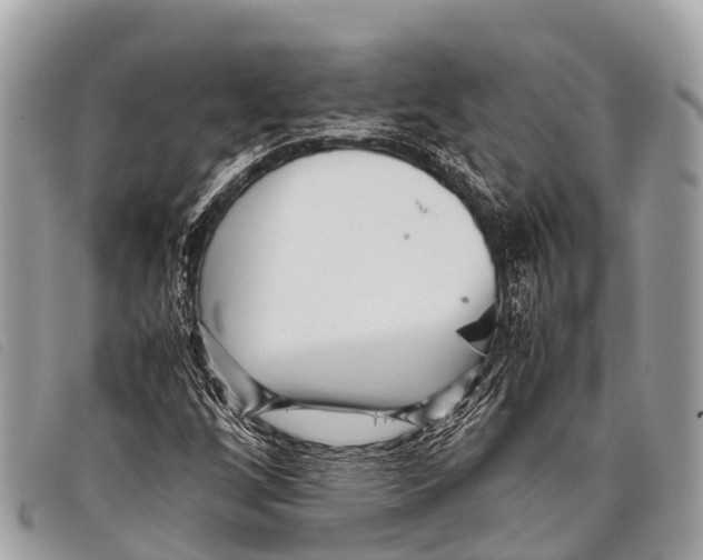 X0000097861256200804111144