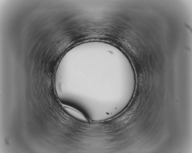 X0000097861257200804111144