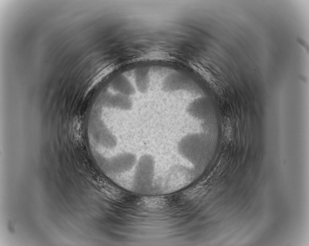 X0000097861258200804111144