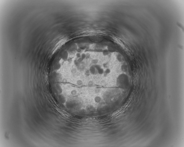 X0000097861259200804111144