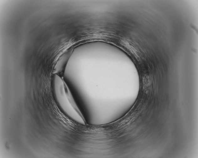 X0000097861260200804111144